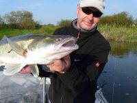 zanderguiding-18092011-31