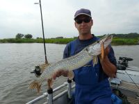 zanderguiding-18092011-35