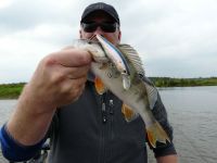 zanderguiding-18092011-36