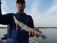 zanderguiding-18092011-38