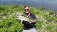 03-zander-guiding-2019