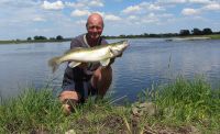 05-zander-guiding-2019