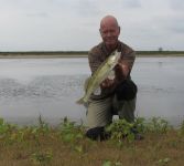 48-zander-guiding-2019
