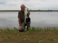 49-zander-guiding-2019