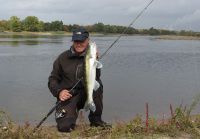 61-zander-guiding-2019