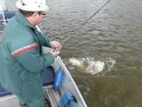 zanderguiding-20092010-14