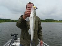 zanderguiding-20092010-2