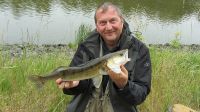 zanderguiding-20092015-26