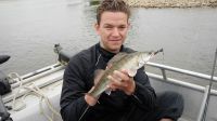 zanderguiding-20092015-28