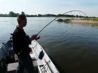 zanderguiding-21062011-1