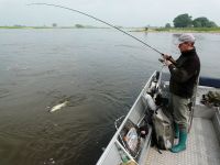 zanderguiding-21062011-22