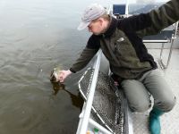 zanderguiding-21062011-23