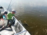 zanderguiding-21062011-25