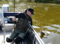zanderguiding-21062011-3