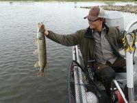 zanderguiding-21062011-7