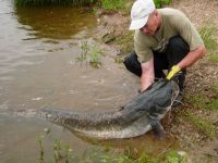 zanderguiding-21072011-11