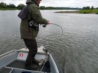 zanderguiding-21072011-7