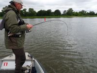 zanderguiding-21072011-8