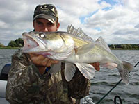 Fangfoto Zander vom Boot im See