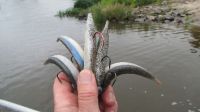 zanderguiding-22102013-16