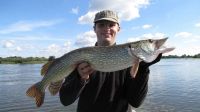 zanderguiding-22102013-23