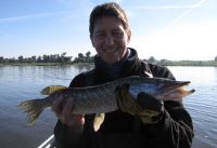 zanderguiding-22102013-25