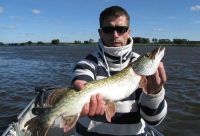 zanderguiding-22102013-30