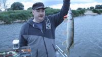 zanderguiding-22102013-4