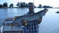 zanderguiding-22102013-7