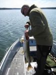 zanderguiding-23052008-18