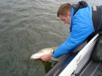 zanderguiding-23052008-4