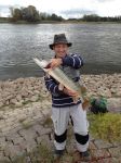 zanderguiding-23092012-9
