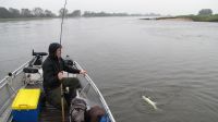zanderguiding-24032014-24