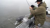 zanderguiding-24032014-29