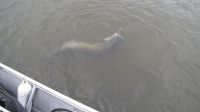 zanderguiding-24032014-39