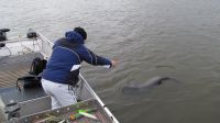 zanderguiding-24032014-40