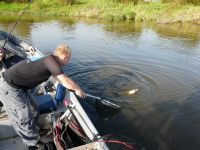 zanderguiding-24102011-13