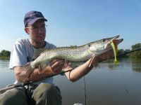 zanderguiding-24102011-18