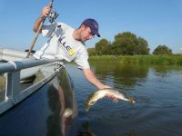 zanderguiding-24102011-19