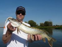 zanderguiding-24102011-27