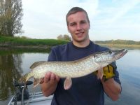 zanderguiding-24102011-31