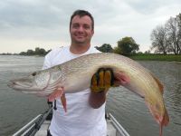 zanderguiding-24102011-32