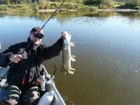 zanderguiding-24102011-36