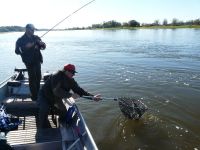 zanderguiding-24102011-38
