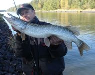 zanderguiding-24102011-6