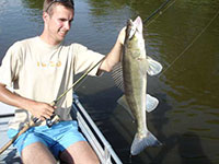 Fangfoto Zander beim Bootsangel mit Gummifisch
