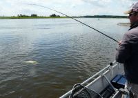 zanderguiding-25062009-13
