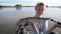 zanderguiding-26092012-16