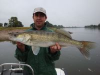 zanderguiding-26092012-18