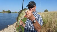 zanderguiding-26092012-26